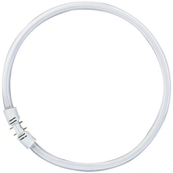 OSRAM FC 55W/830, kreisförmige Leuchtstofflampe, warm white