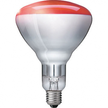 PHILIPS Infrared BR125 IR Red, Infrarotlampe, 230-250V/250W, E27