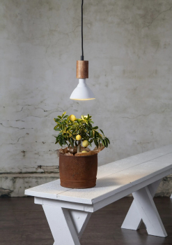 LED PAR38 Pflanzenlampe, E27, 220-240VAC/16W, 1700lm