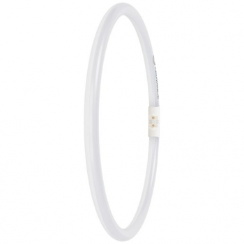 LEDVANCE kreisförmige LED - Ersatz für TL5C / FC 40W/55W/865 - 33V/21,5W, 3200lm, 865, 6500K, 300mm