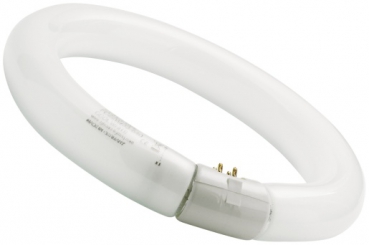 SYLVANIA FC40W/865, Circline, kreisförmige Leuchtstoflampe, daylight