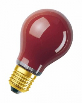 OSRAM Standardlampe ROT, DECOR COLOR, 240V/11W, E27