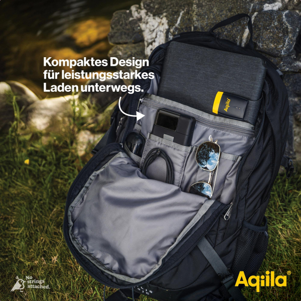 Aqiila Powerbird B20+ leistungsstarke Powerbank mit 20000mAh, 65 Watt, schwarz